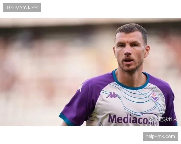 哲科与伊布在进攻转化率下展现单点驱动与多点参与差异